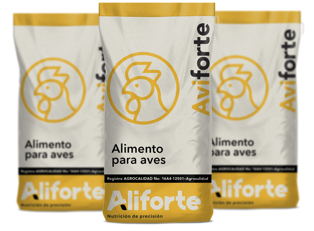 aviforte1