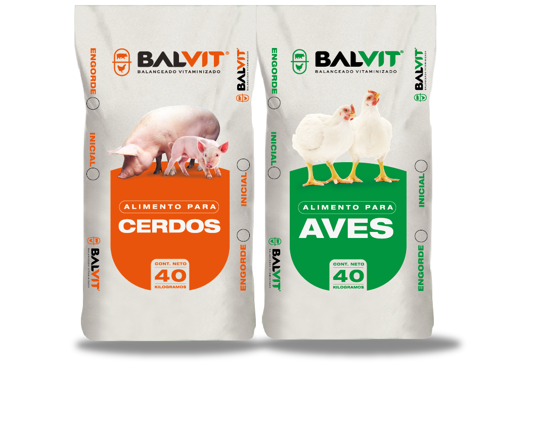 balvit1
