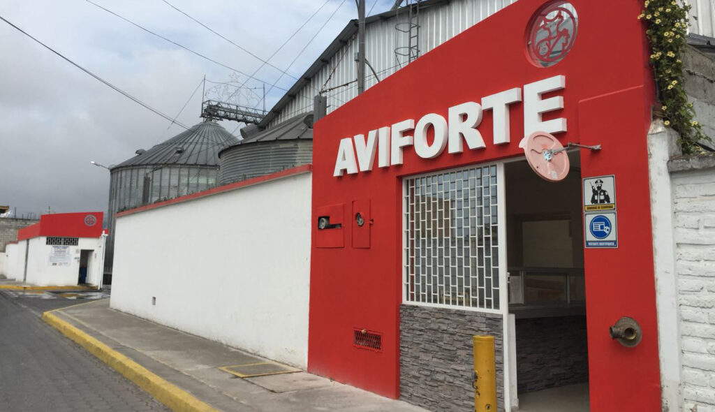 nosotros 31
