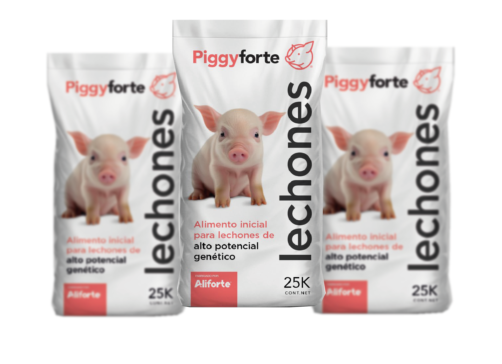 piggyforte1