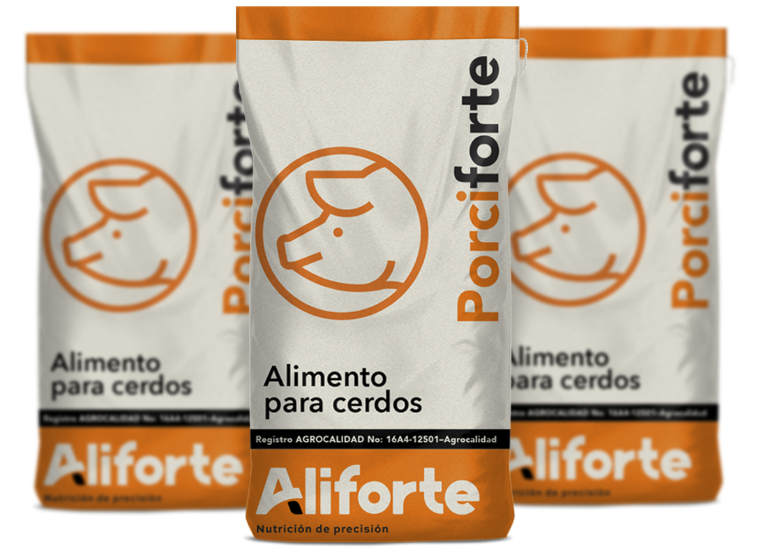porciforte1
