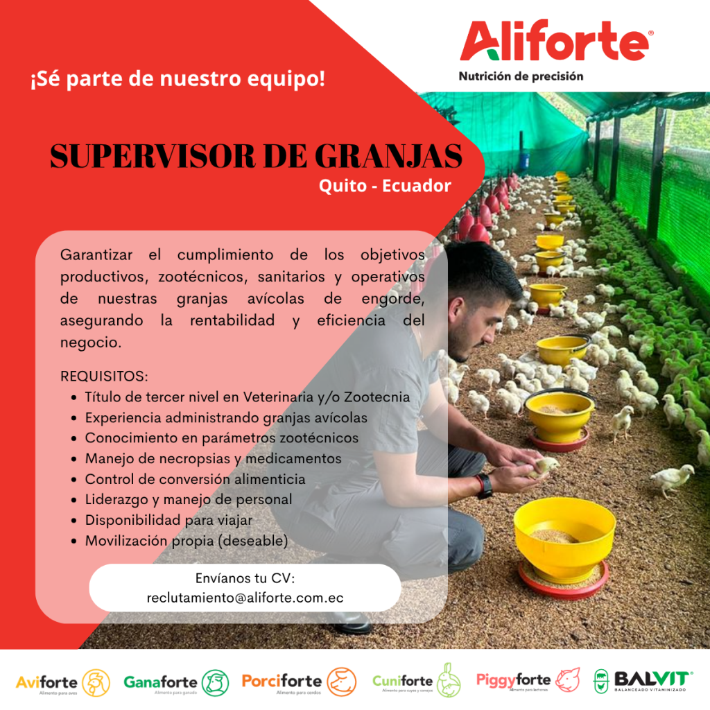 PUBLICACIONES LINKEDIN (18)