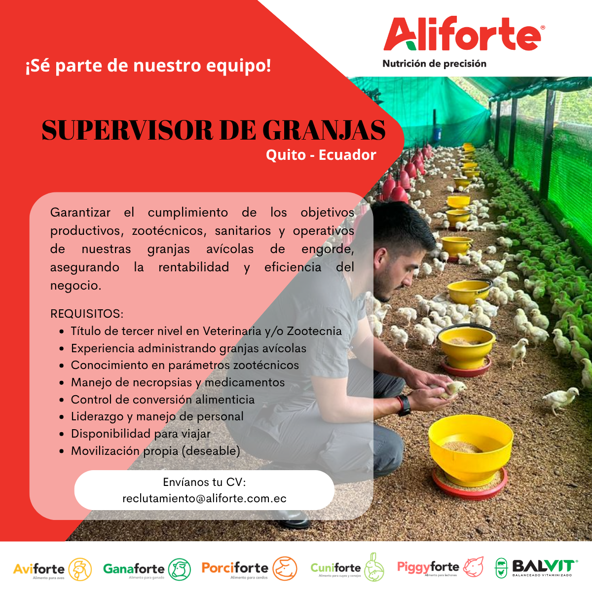 PUBLICACIONES LINKEDIN (18)
